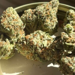 Strain : Funky Kitty