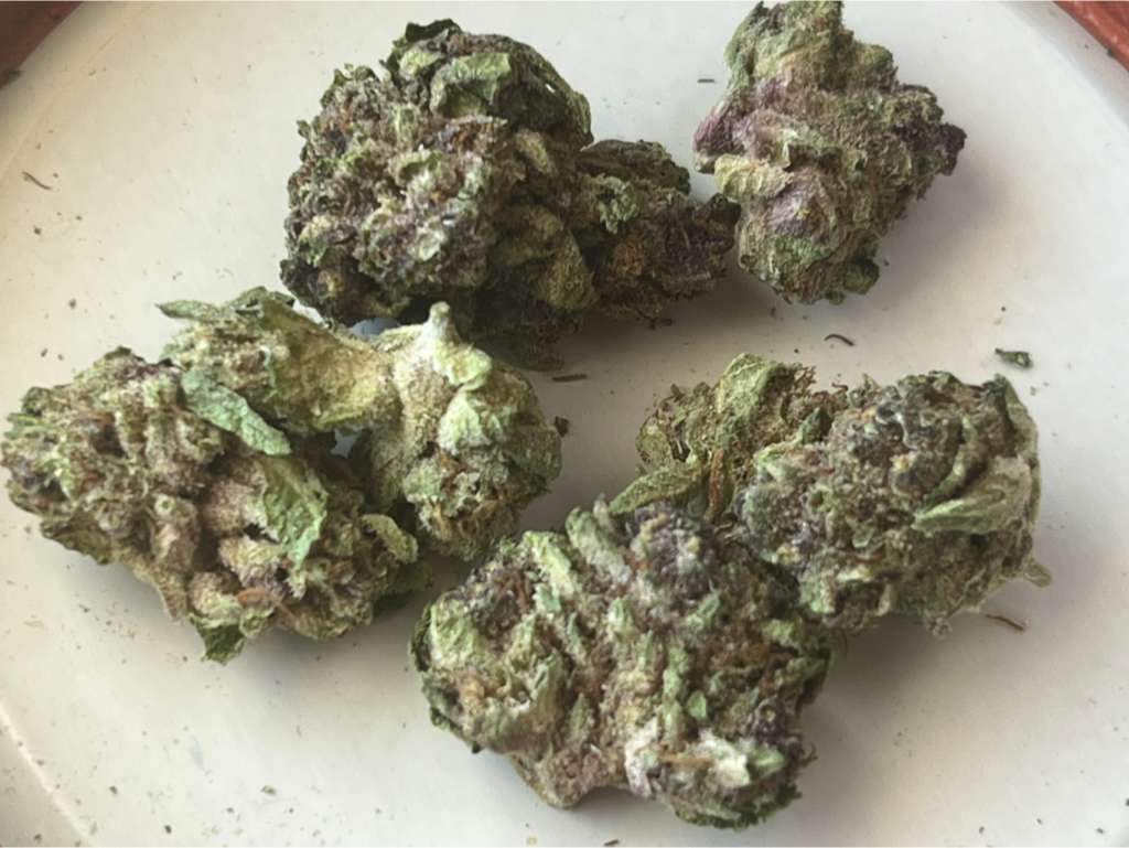 Blue Dream