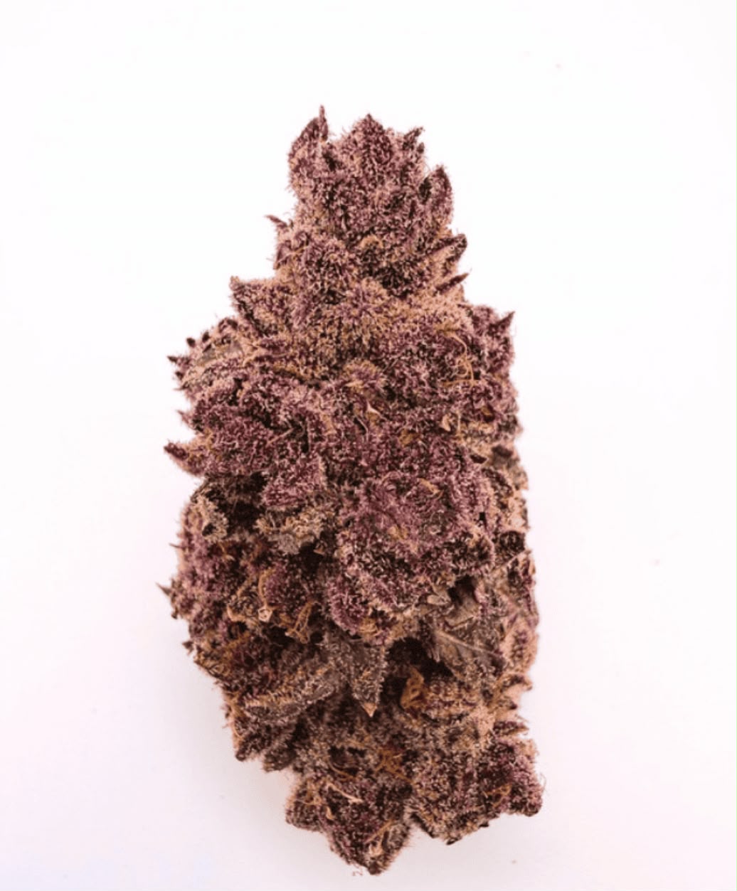 Italian Ice THCa
